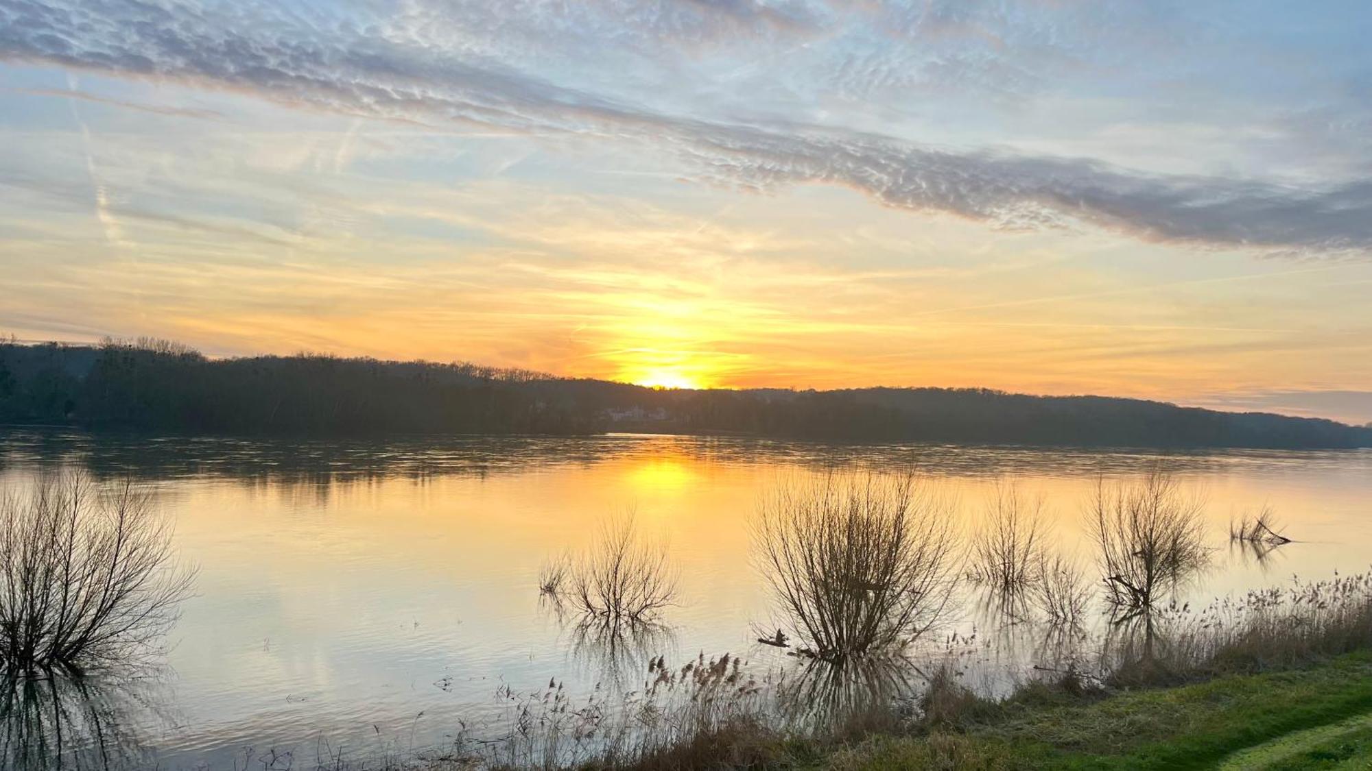 Un Mirage Tropical En Bord De Loire, Love Et Detente Saint-Clément-des-Levées Exteriér fotografie